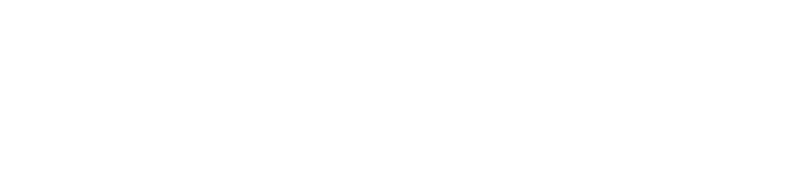 LlogariPro